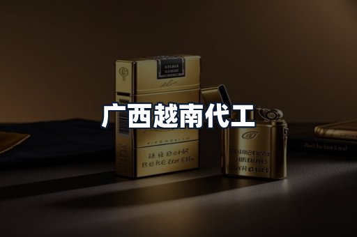 广西越南代工